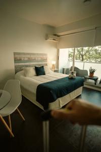 Sucre Suites - 253