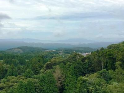 Kirishima Castle - 29