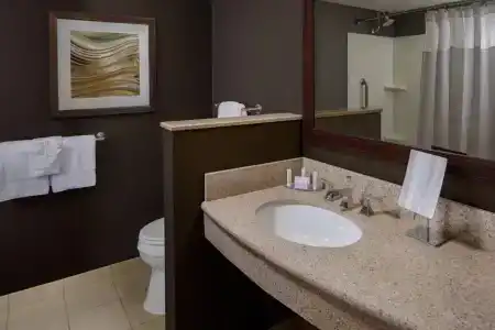 Courtyard By Marriott Houston Medical Center/Nrg Park - 25