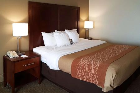 Comfort Inn I-10 West at 51st Ave - 4