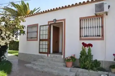 El Levante - 25