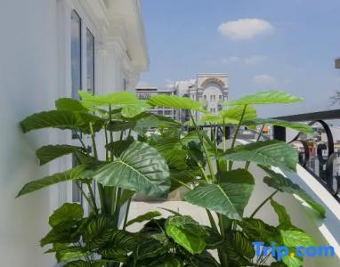 Hera Airport - 125