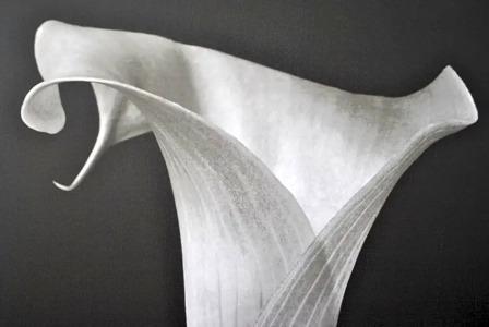 B&b Mondello Resort - 14