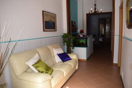 Canarco - 20
