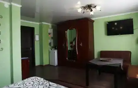 Спутник - 65