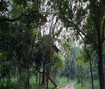 Eighth Wonder Resort - 38