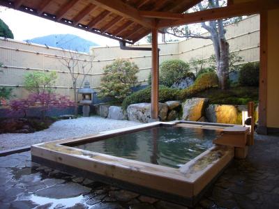 Japanese Ryokan Seryo - 11