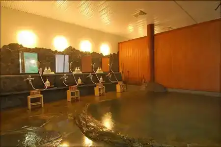 Hanamaki Onsenkyo Namari Onsen Fujisan Ryokan - 10