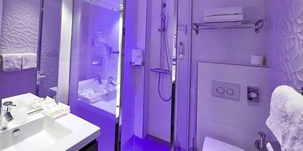 Best Western Plus Carlton Annecy - 57