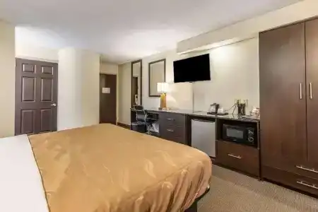 Quality Inn - 53