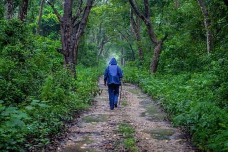 Bardia Adventure - 6