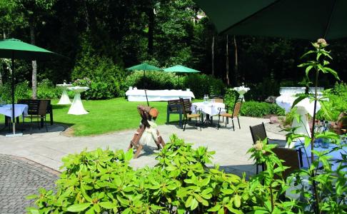 Goldener Hirsch - 18