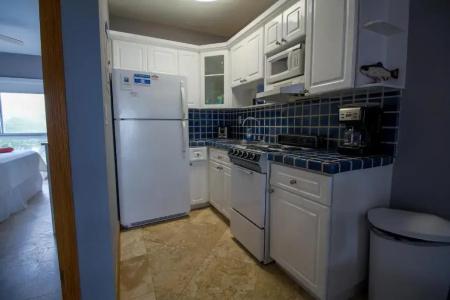 Shore View - 19