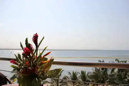 Coral Beach - 30