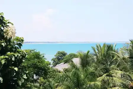 Sea Avenue - Eco Garden - 14
