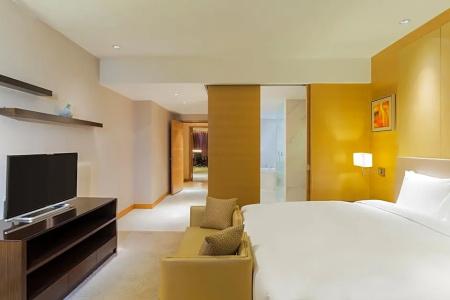 Holiday Inn Nanjing Aqua City, An Ihg - 181