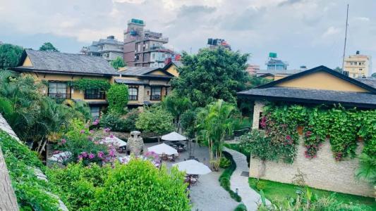 Temple Tree & Spa - 71