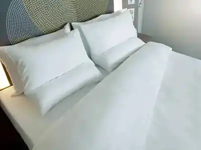 Novotel Nancy - 188