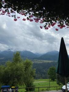Panorama - 29