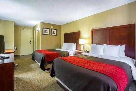 Comfort Inn Downtown - 28