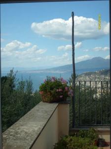 Gli Ulivi Agriturismo - 86