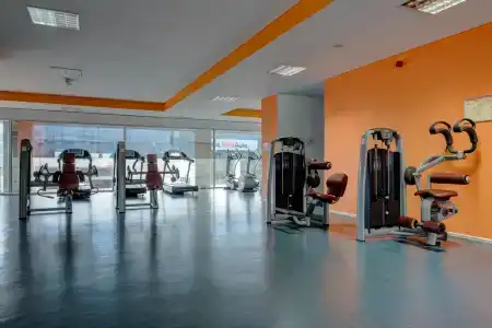 Vip Executive Azores - 22