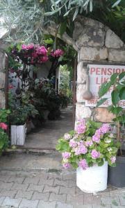 Likya Pansiyon - 26
