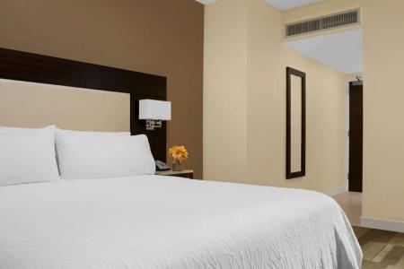 Hilton Garden Inn Times Square Central - 61