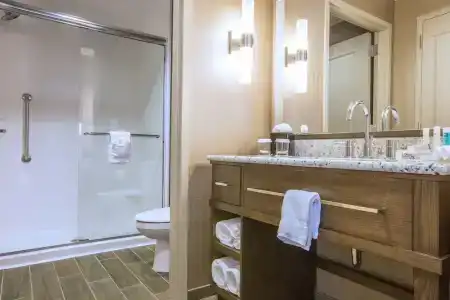 Hampton Inn Houston Downtown - 32