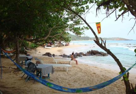 Surf Sea Breeze - 16
