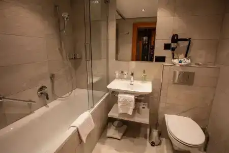 Resort Alex Zermatt - 8