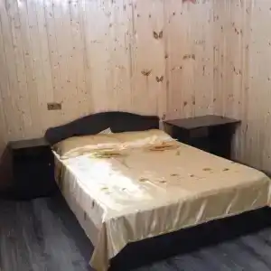 Георгина - 2