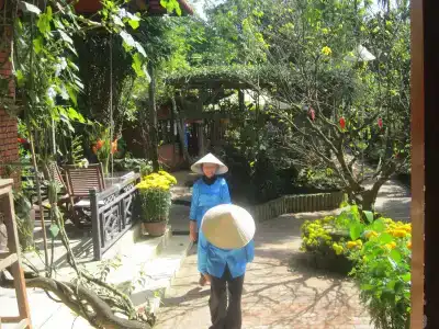 Betel Garden - 17
