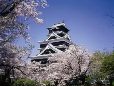 Kumamoto Tokyu Rei - 17