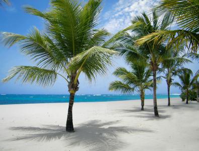 Viva Wyndham V Heavens - Adults Only - All Inclusive - 37