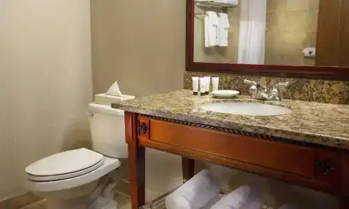 Holiday Inn - Portland - Columbia Riverfront, an IHG - 87