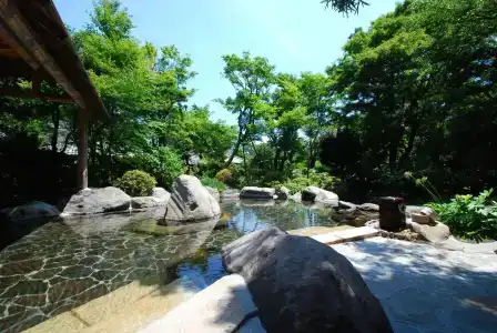 Yoshiike Ryokan - 5