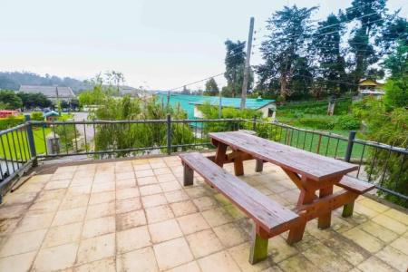 Alpine - 11