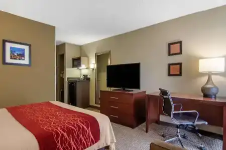 Comfort Inn Sandy Springs – Perimeter - 39