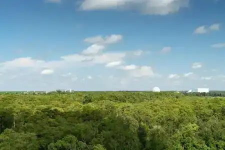 Jw Marriott Orlando Bonnet Creek Resort & Spa - 59