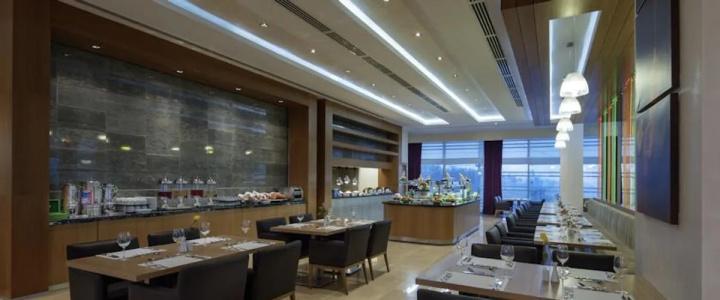 Hilton Garden Inn Diyarbakir - 10