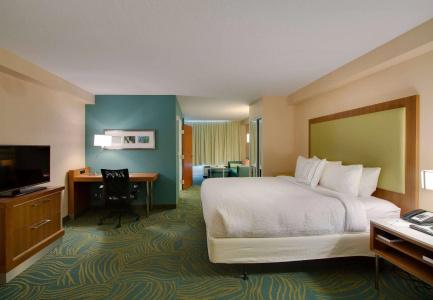 SpringHill Suites by Marriott Orlando Lake Buena Vista South - 3