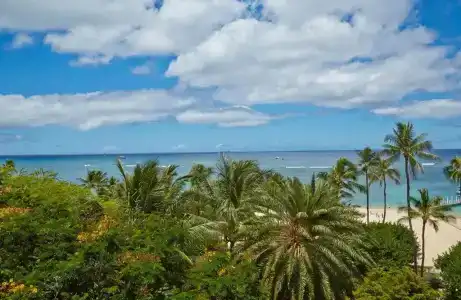 Hilton Hawaiian Village Waikiki Beach Resort - 476