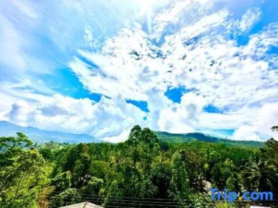 The Ella Nature Life Guest Inn - 77