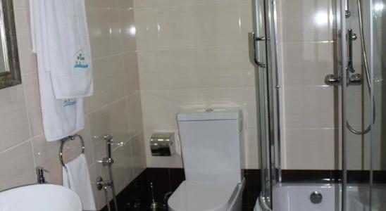 Vilesh Palace - 9