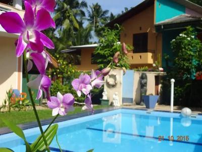 Hilda Guest House - 16
