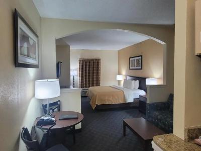 Quality Inn & Suites Dfw Airport South - 80
