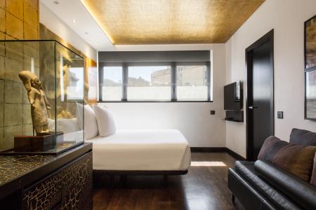 Claris & Spa GL, a Small Luxury of the World - 2