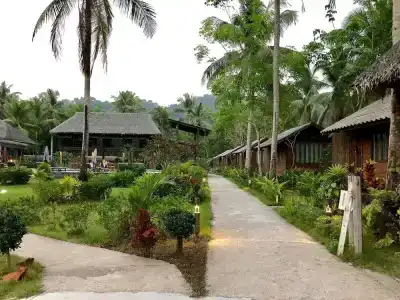Jungle Koh - 19