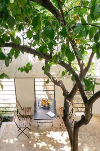 Athens Green - 151